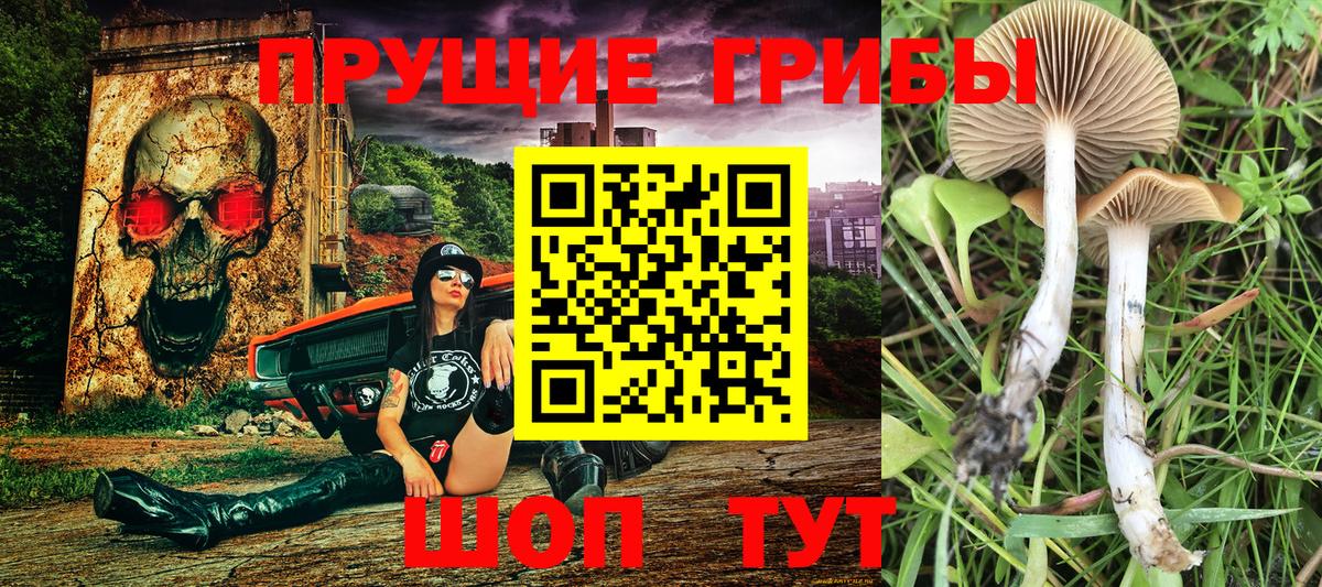 Галлюциногенные грибы мицелий Самара